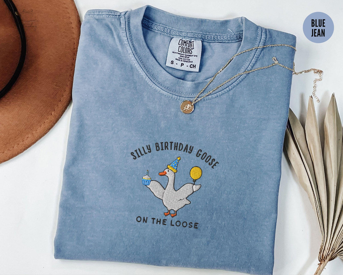 Embroidered Silly Goose Birthday Shirt Funny 30th Birthday Gift for Her Meme TShirt Goose Lover Tshirt Birthday Party Outfit Graphic Tee – Cozy Vibes · High-Quality Print