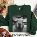 Capybara Sweatshirt Funny Capybara UFO Sweater Capybara Selfie Sweater Rodent Sweatshirt Meme Sweater Capybara Lover Gift Weirdcore Sweatshirt – Soft Feel · Trending Graphic Apparel