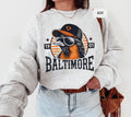 Baltimore Baseball Sweatshirt Sports Team Apparel Baseball Fan Gift Oriole Unisex Crewneck Jumper Fan Clothing Maryland Baseball Merch Sweatshirt – Premium Graphic · Must-Have Style