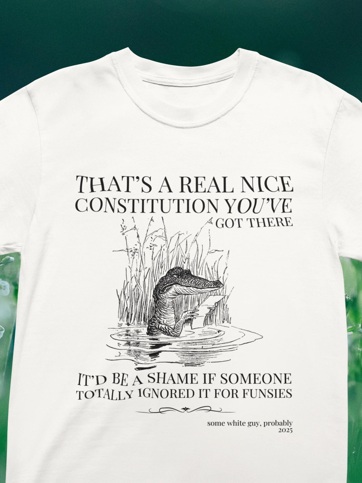 Subtle Democrat Tee Shirt American History Teacher History Buff Funny Animal Lover Democratic Socialist Gift for Historian Equal Rights Graphic Tee – Aesthetic Look · Perfect For Daily Wear