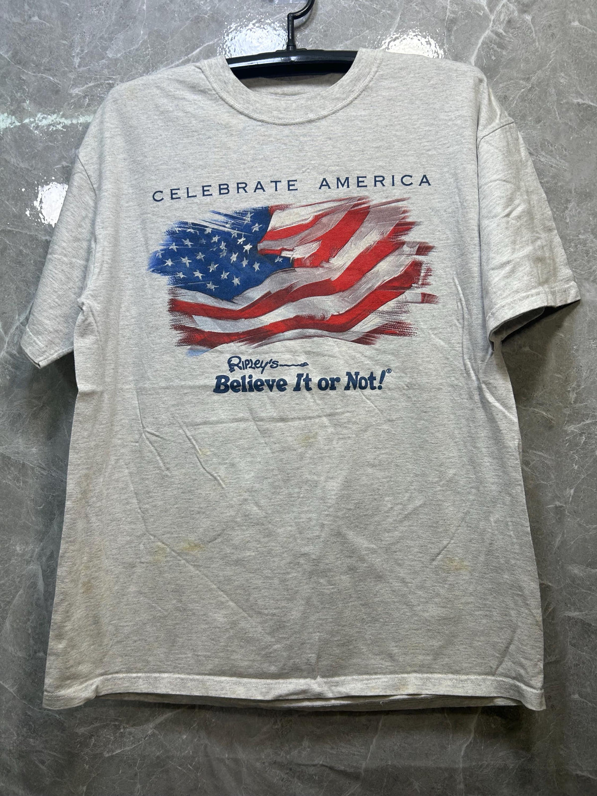 Vintage Celebrate America 00s T Shirt Size L Graphic Tee – Warm & Stylish · Trending Graphic Apparel