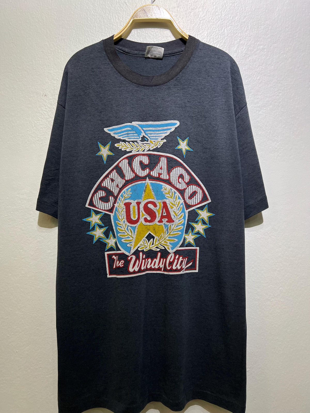 Vintage 90s Chicago The Windy City T Shirt Size L Skyline Landmark Souvenir Travel Tee Cityscape Streetwear Urban Fashion Graphic Tee – Feel-Good Design · Trending Graphic Apparel