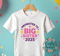 Big Sister 2025 T Shirt Baby Announcement Tee Older Sibling Shirt Big Sis Gift Pregnancy Reveal Promoted To Big Sister Tshirt 1177 Graphic Tee – Aesthetic Look · Great Gift For Fans