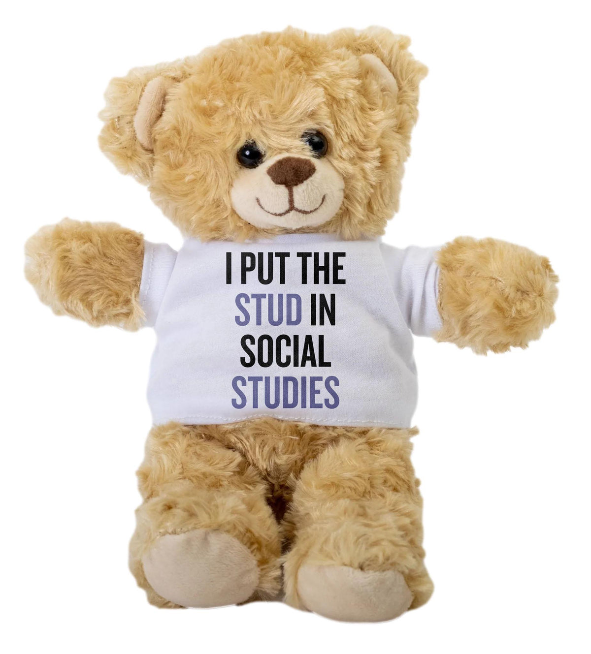 History Teacher Gift Funny Social Studies Teddy Bear Classroom Humor I Put the Stud in Social Studies Graphic Tee – Premium Graphic · Top Pick For Any Outfit
