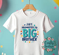 Promoted To Big Brother T Shirt Baby Announcement Tee Personalised Sibling Shirt Big Bro Gift Pregnancy Reveal Brother T Shirt 1171 Graphic Tee – Aesthetic Look · High-Quality Print