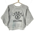 Vintage 1970s Crewneck Sweatshirt Size Medium Gray Lehman College Ncaa Sweatshirt – Bold Style · Trending Graphic Apparel