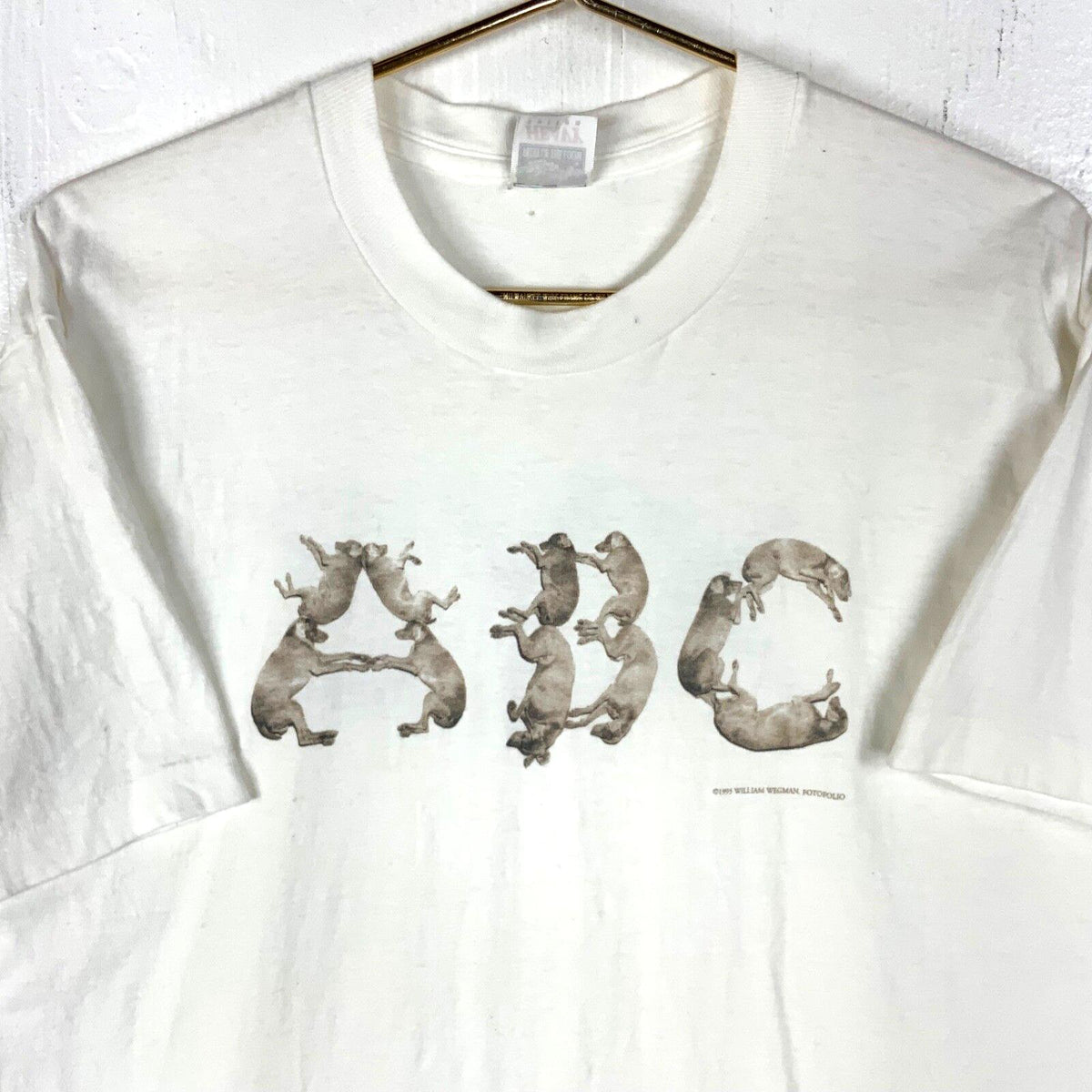 Vintage William Wegman Art TShirt Large White Single Stitch 1995 Dogs 90s Graphic Tee – Aesthetic Look · Great Gift For Fans