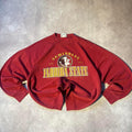 Vintage 90s Florida State Seminoles University Crewneck Sweater Summer Closet Essential Graphic Tee – Bold Style · Trending Graphic Apparel