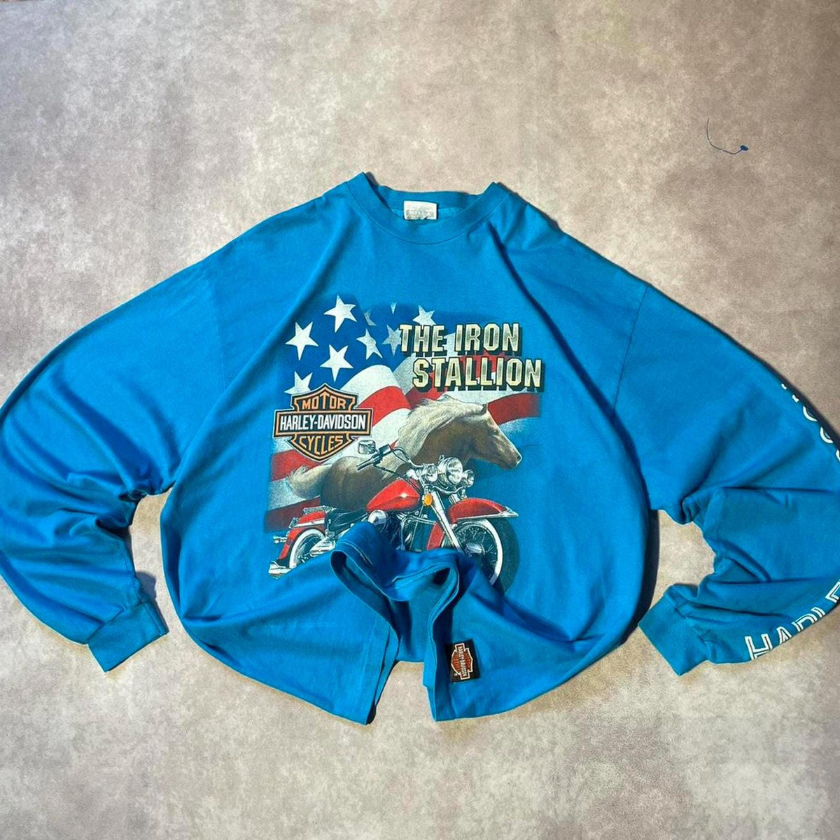Vintage 90s Harley Davidson Stallion Eagles Y2K Long Sleeve Shirt Graphic Tee – Warm & Stylish · Perfect For Daily Wear
