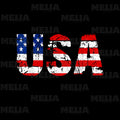 Usa Flag PNG Design for T Shirt Sublimation Patriotic American Flag 4th of July Digital Craft US National Pride Graphic for DIY Apparel Graphic Tee – Everyday Comfort · Trending Graphic Apparel