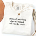 Silly Jane Eyre Tee Shirt for Bookworm Gothic Romance Reader 19th Century English Literature Cute Lit Professor Gift Charlotte Bronte Graphic Tee – Everyday Comfort · High-Quality Print